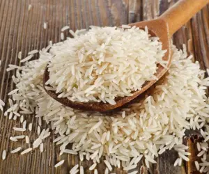 Rice